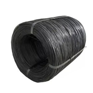 Carbon steel wire